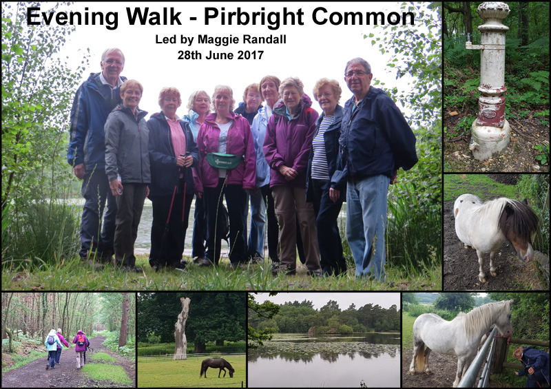 Evening Walk - Pirbright Common - 28th June 2017